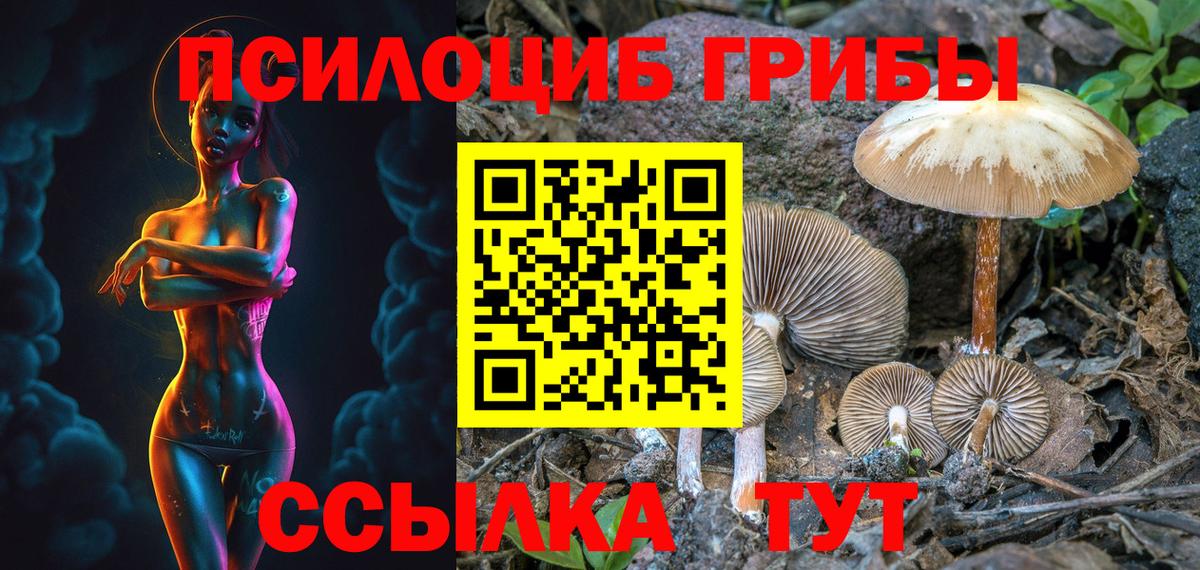 Галлюциногенные грибы Magic Shrooms Муром