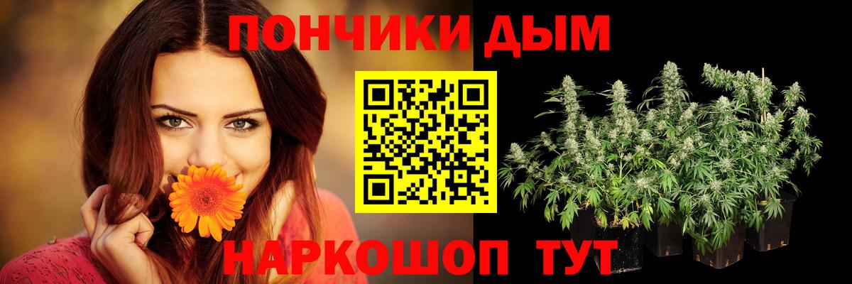 Муром  Шишки марихуана планчик  Шишки марихуана индика  Шишки марихуана AK-47  Вход с VPN 